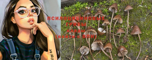 а пвп мука Зарайск