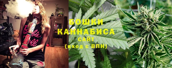 гидра Новокубанск