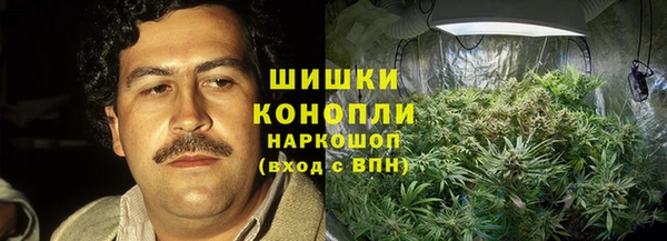 МДПВ Нефтегорск