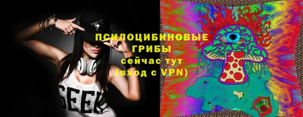 гидра Новозыбков